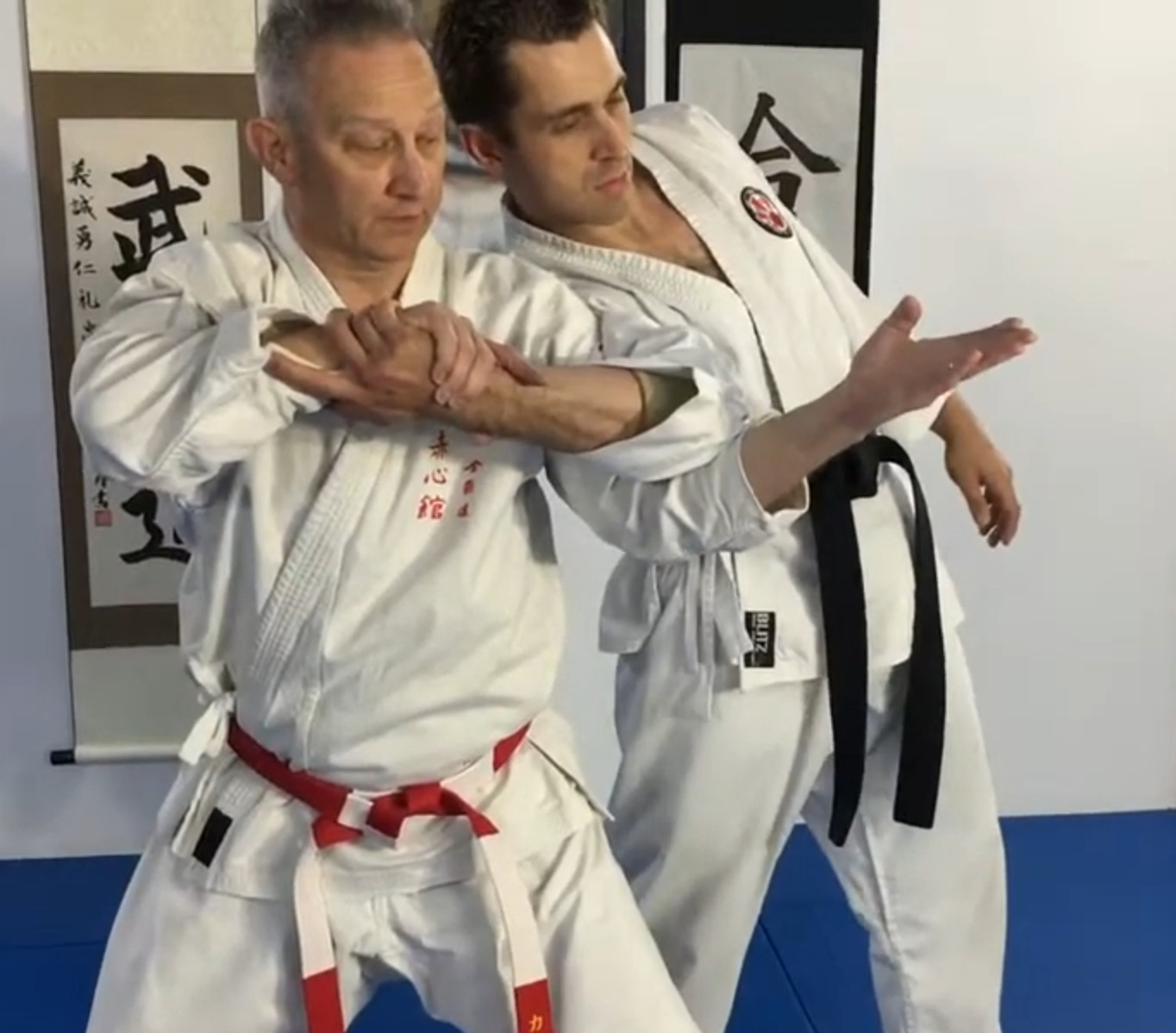 Introduction to 6th Kyu Kyushin-Ryu Aikido